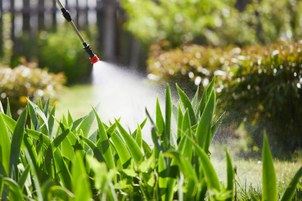 24/7 Emergency Termite Control experts in Lapwai, ID